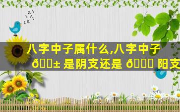八字中子属什么,八字中子 🐱 是阴支还是 🐎 阳支